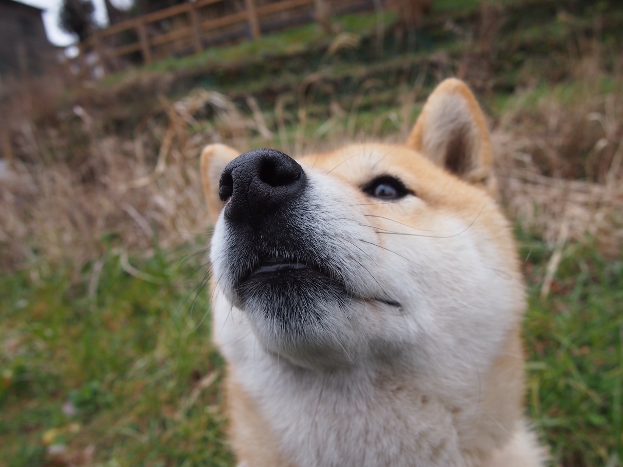 _未来运动装备：AI辅助促运动表现_，运动辅助工具有哪些