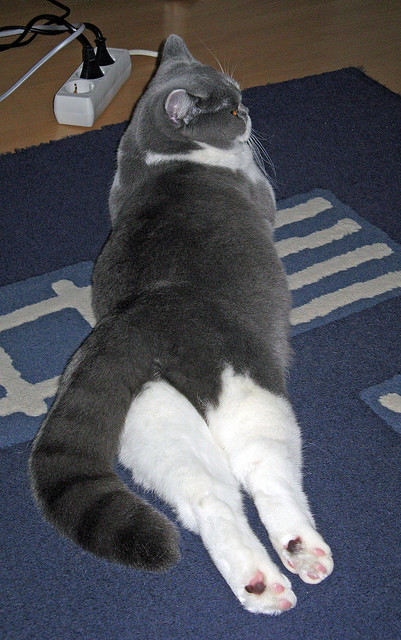 开云官网首页-_骑士年轻核心持续火力，未来充满希望_，骑士ehlo