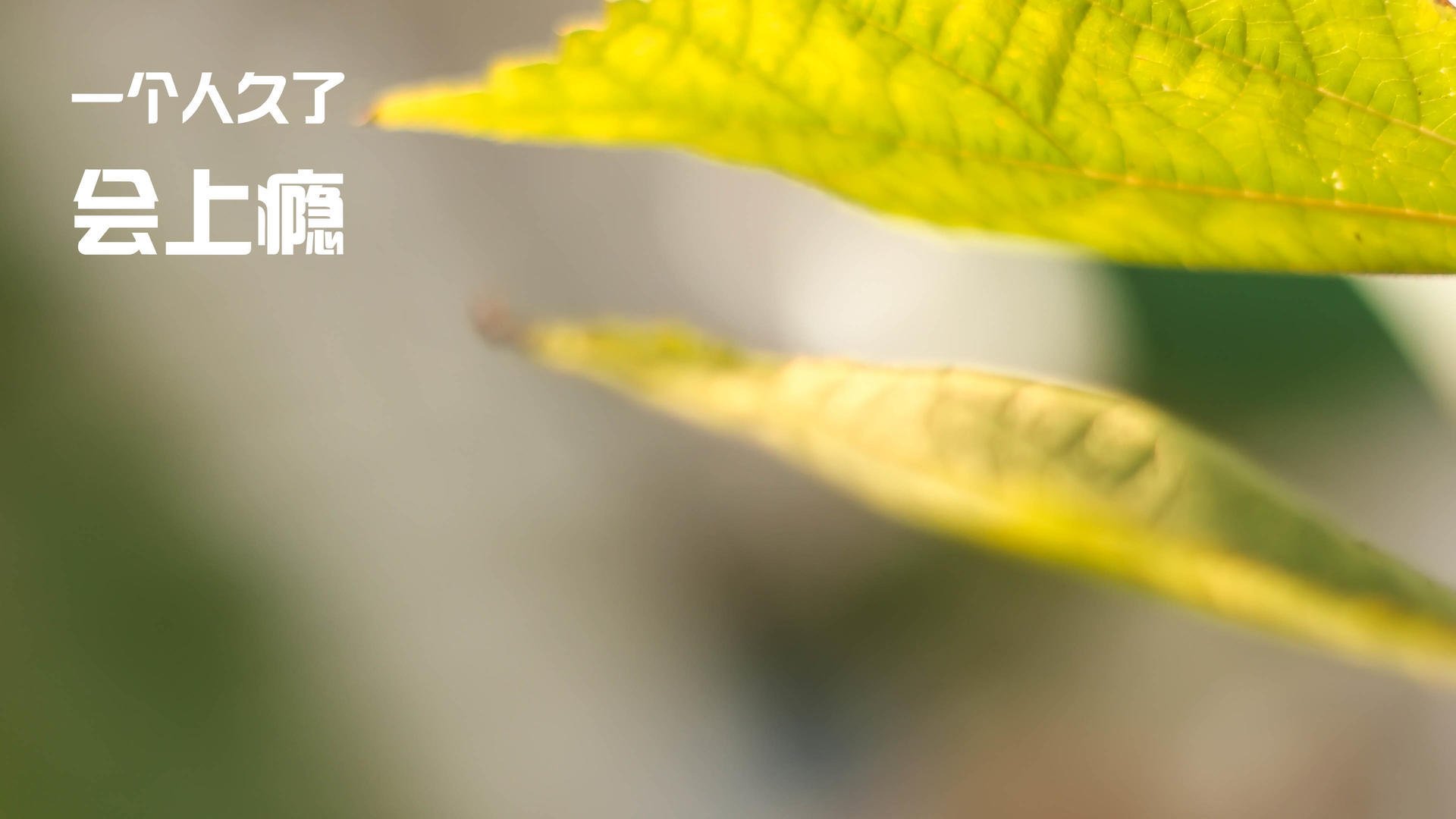 “法甲积分榜动态频繁，悬念不断升级”，2020～2021法甲积分榜