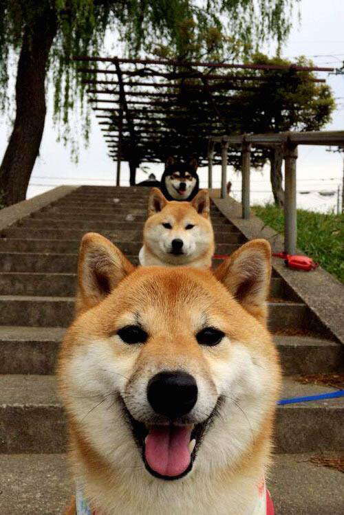 开云官方网站-中小学足球课程体系全面完善，激发青少年运动兴趣，中小学生足球训练教案