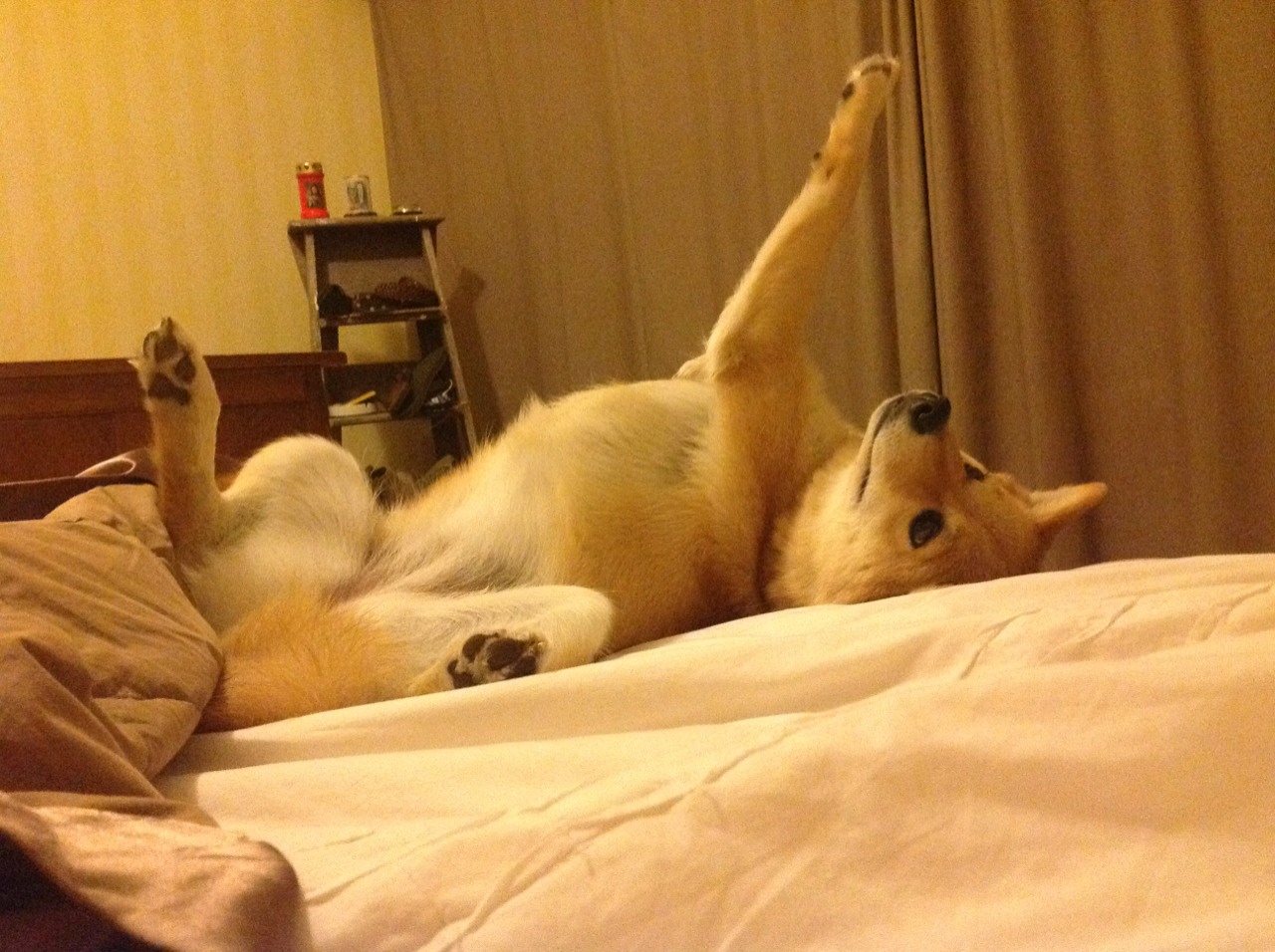 开云官方-史上最激动人心的“决战之夜”：那些令人难忘的欧冠时刻，决战欧冠之巅是第几期