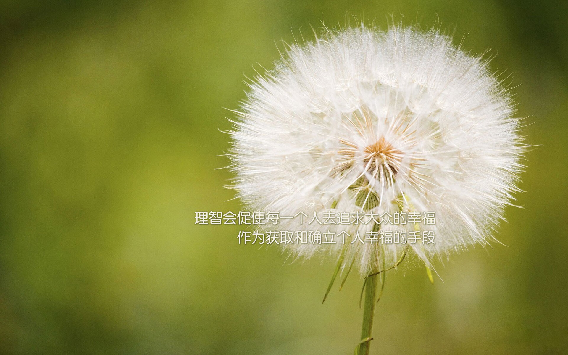 特色篮球品牌国际化战略升级，推动国潮品牌“走出去”，国际知名篮球品牌