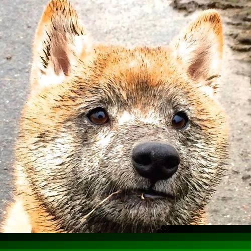 开云官网首页-青少年“体育+科技”创新赛在广州盛大启动，推动青训升级，青少年科技创新大赛集体项目