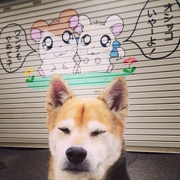 关键时刻集体发挥，展现团结战斗力，团结凝聚出战斗力