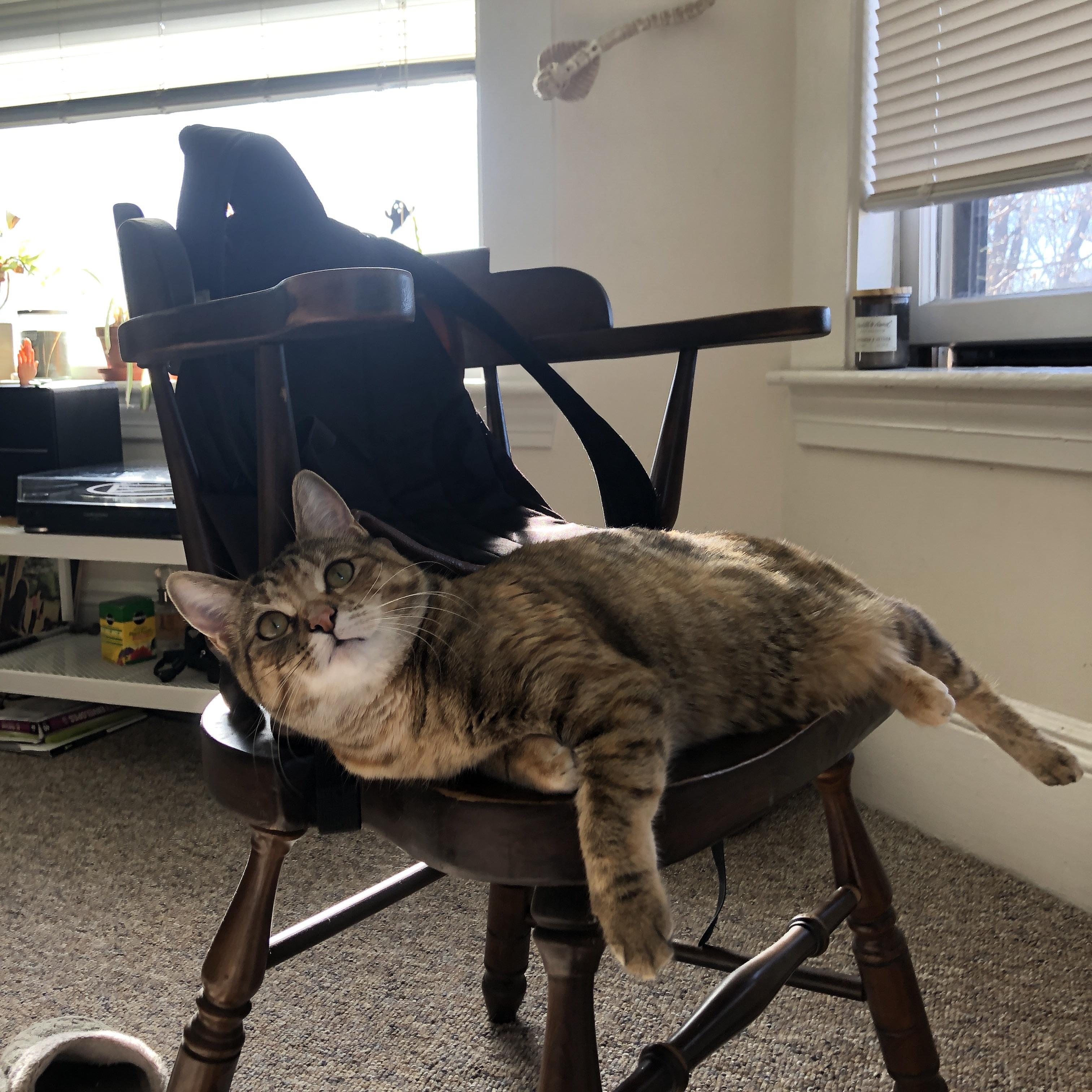 开云网页版-广岛三箭防守端稳健，广岛三箭2020球衣