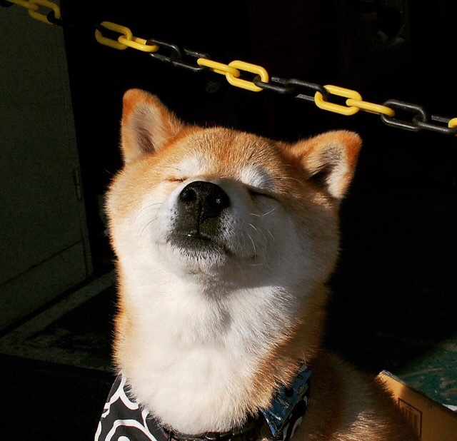 法兰克福球员展现出强大实力，轻松击败对手，法兰克福队史球星