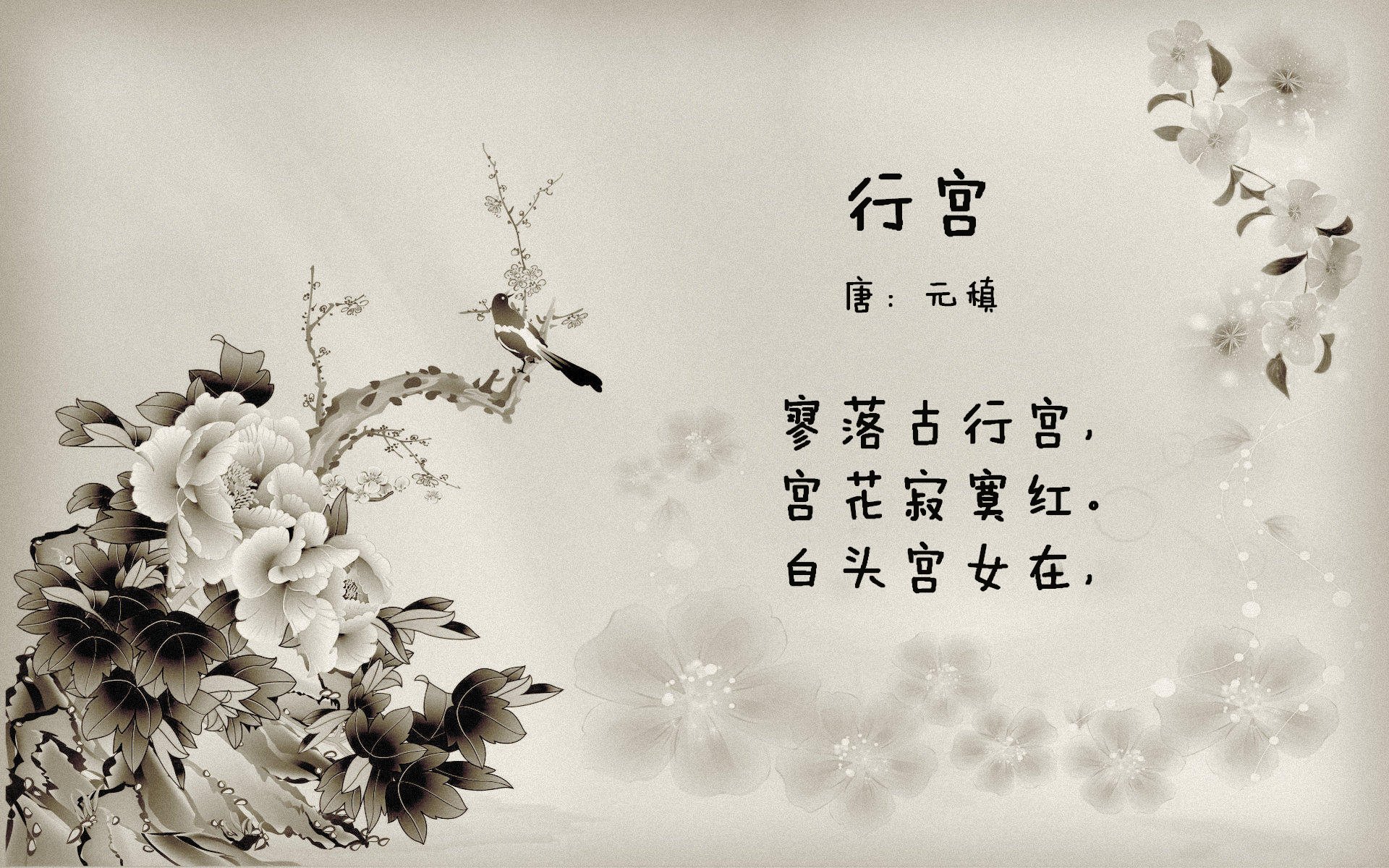 开云入口-看好意甲冠军希望？亚特兰大表现亮眼，意甲亚特兰大足球俱乐部