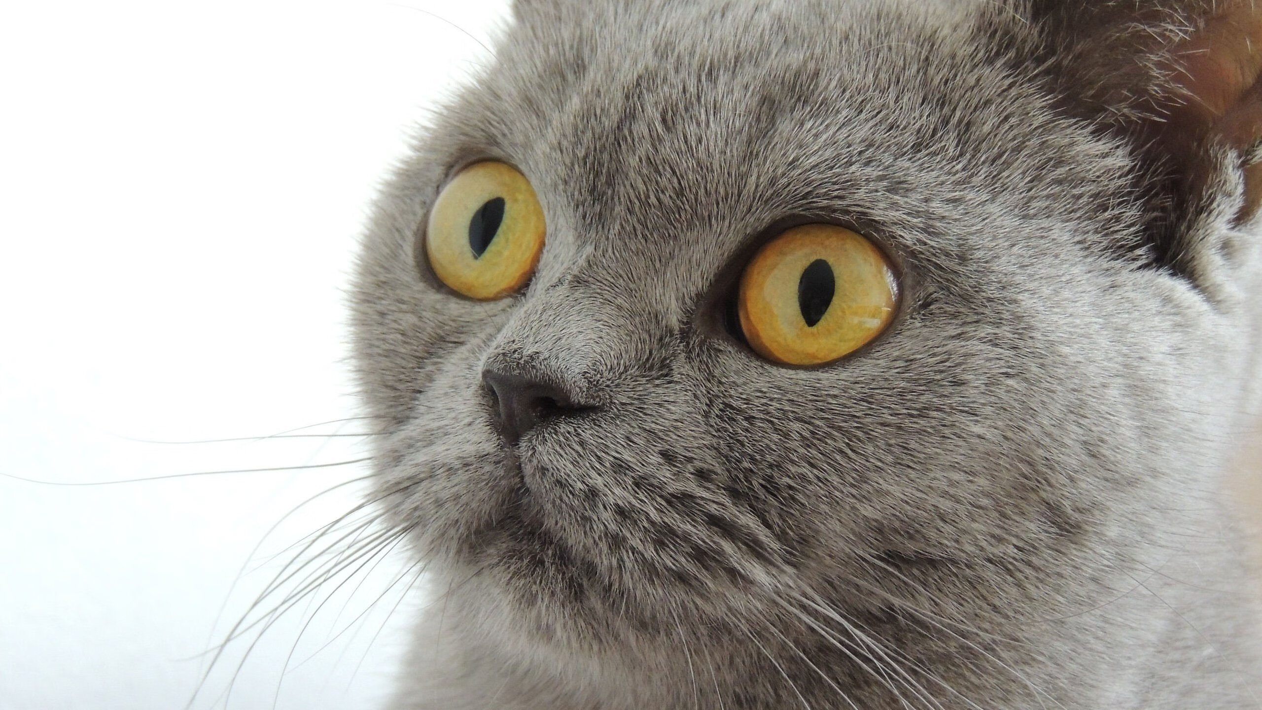 体育赛事场地合规性评估指标体系设计，体育赛事评估报告怎么写