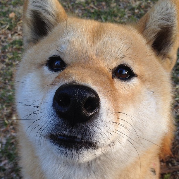 篮球运动员专项体能训练数据分析方法研究,篮球运动员的体能