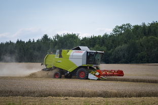 开云·体育全站登录地址-田径跨项目交流营探索协同训练新方式，田径跨栏的动作讲解