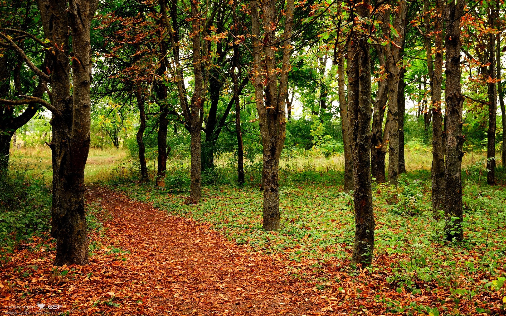选手换气节奏平稳,后程不崩盘,换气技巧