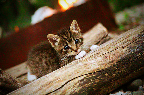 国际足球裁判引入大数据分析,判罚更科学有效,国际足球裁判排名