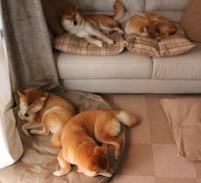 kaiyun.com-德甲激烈战役：攻守节奏快如闪电！，德甲内战