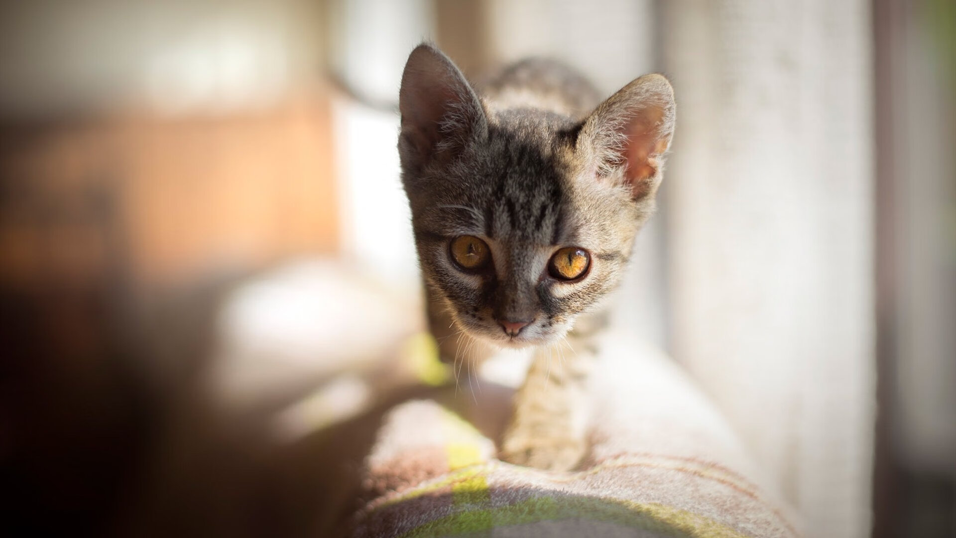 意甲攻防对决：攻势如潮防守坚韧，意甲防守怎么这么严