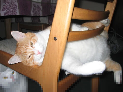 kaiyun网站-曼联训练营曝光年轻小将崭露头角，曼联青训未来六大巨星