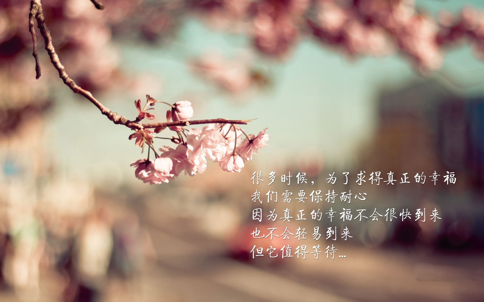 法国年轻球员崭露头角,期待未来大放异彩