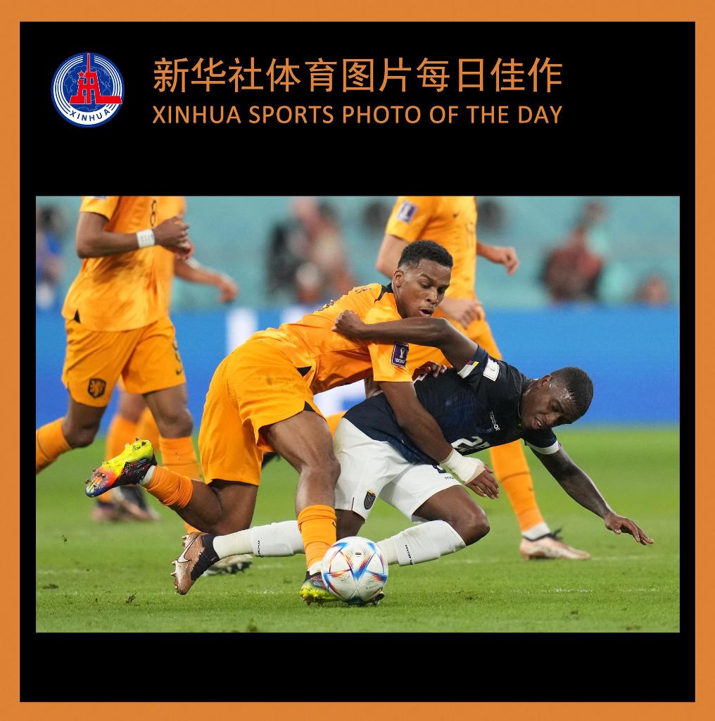 Kaiyun APP-关于开云体育:运动员与商业的结合：代言背后的故事的信息