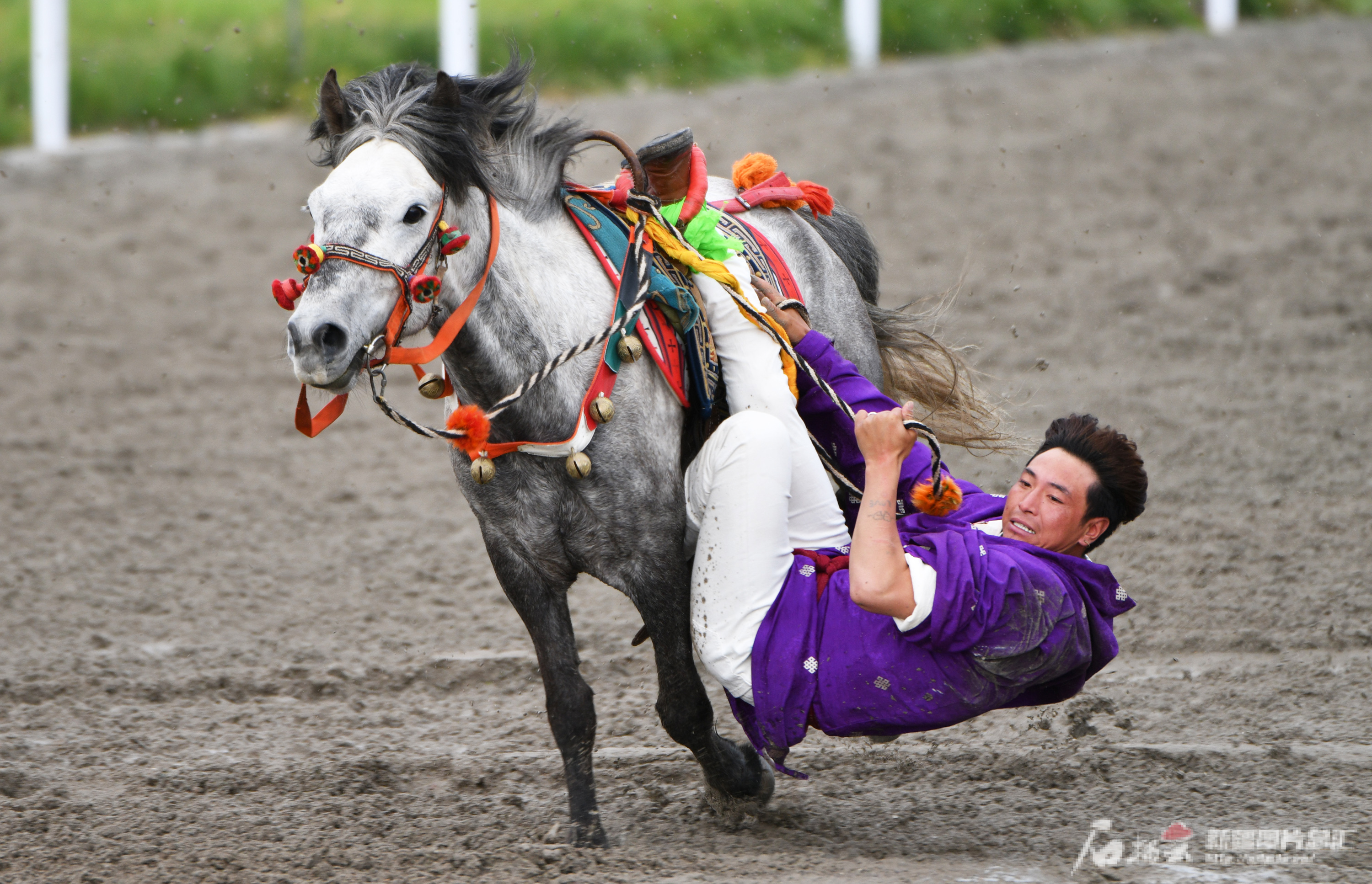 开云官网登录-包含开云体育：探索新领域：传统运动项目的创新发展的词条